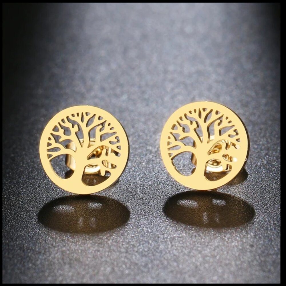 Stainless steel earrings